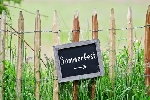 Sommerfest TTC